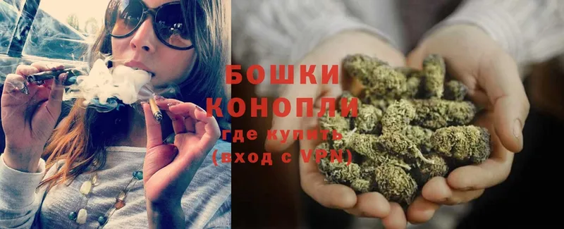 продажа наркотиков  Каменногорск  Бошки Шишки White Widow 